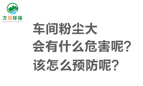 車間粉塵大會(huì)有什么危害呢？該怎么預(yù)防呢？